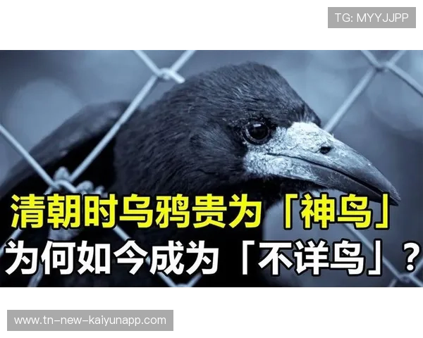 乌鸦主帅称团队凝聚力是成功关键，乌鸦聚齐